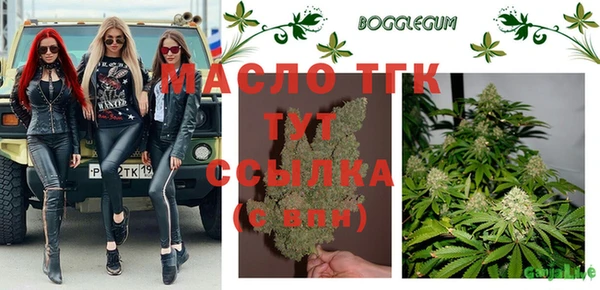 прущий лед Вяземский