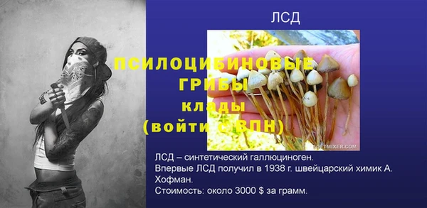 apvp Володарск