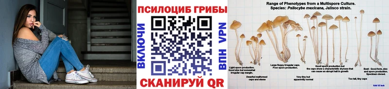 Псилоцибиновые грибы мухоморы  Ишимбай 